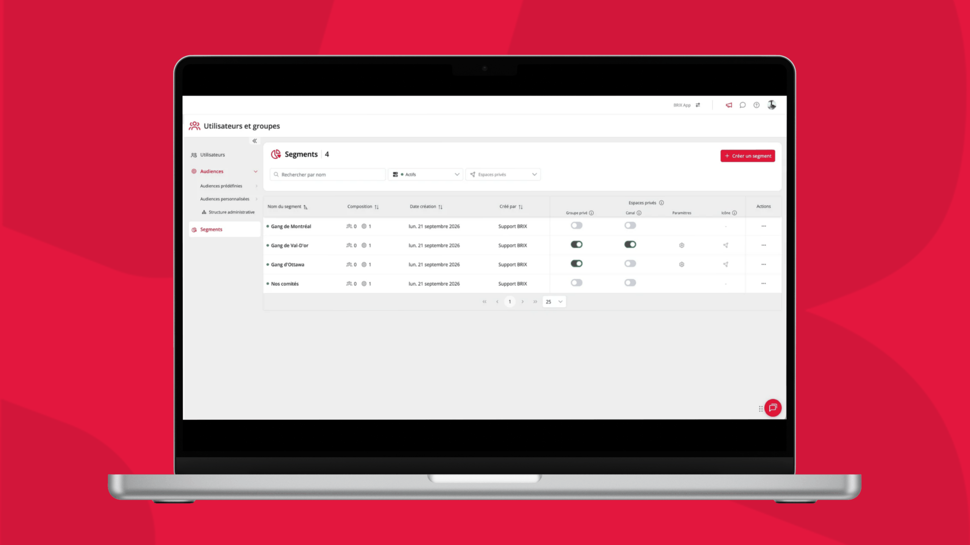 Page Segments dans Utilisateurs et groupes du portail admin BRIX